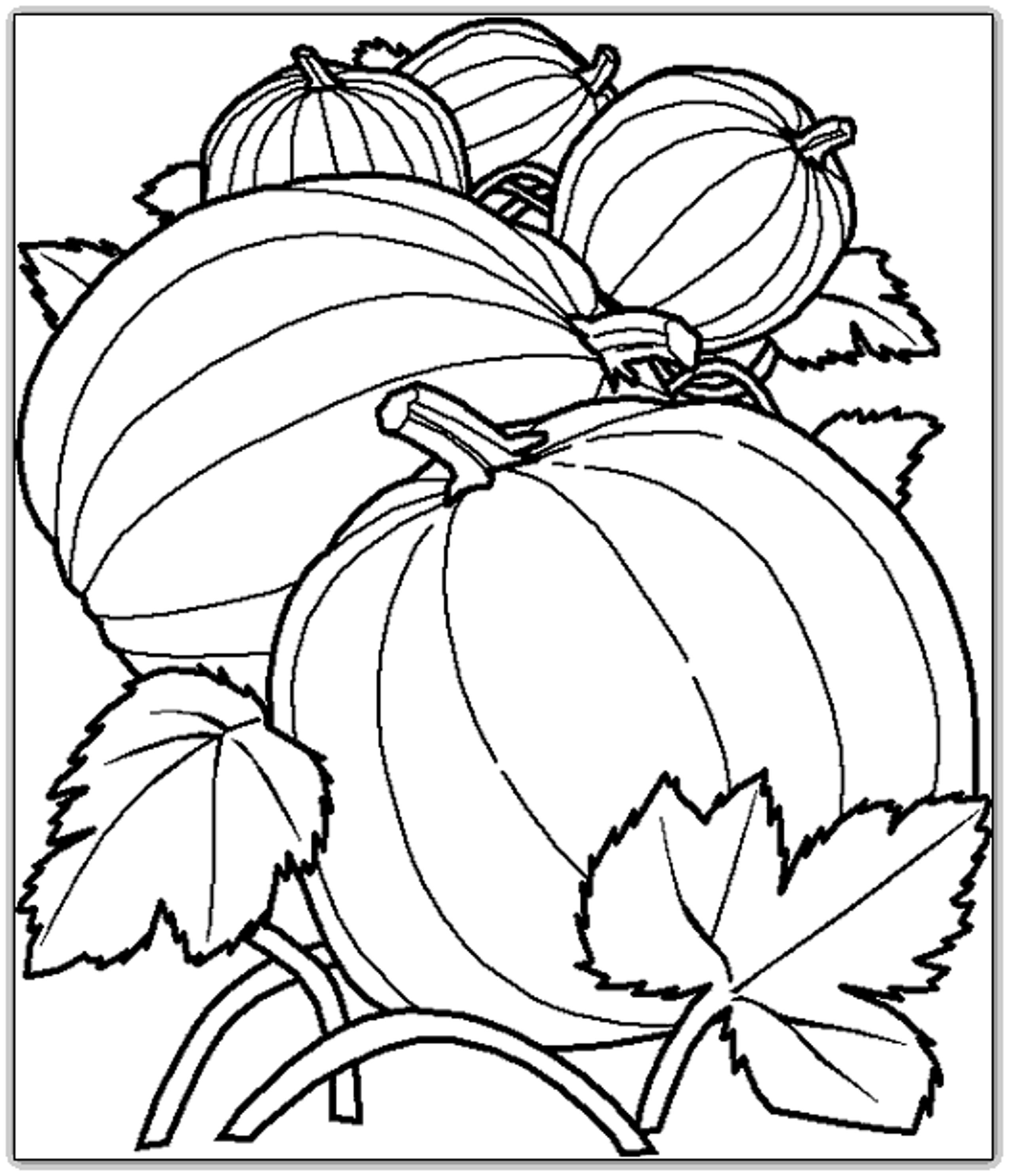 2550x2973 Powerful Harvest Coloring Pictures Autumn Page Free Printable