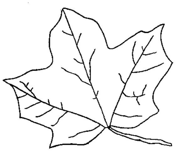 Free Printable Fall Leaves Coloring Pages