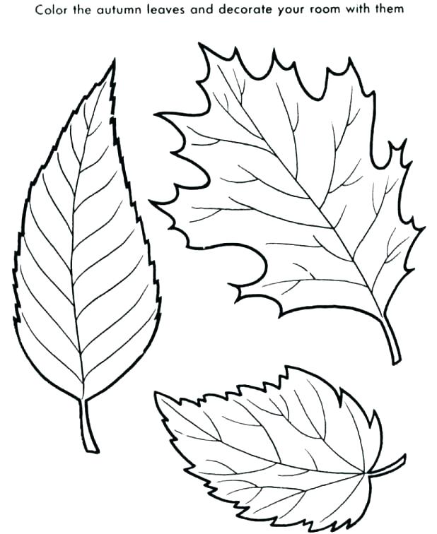 Leaf Color Page Falling Leaves Coloring Pages Wonderful 618x756 Leaf Color Page Falling Leaves Coloring Pages Wonderful