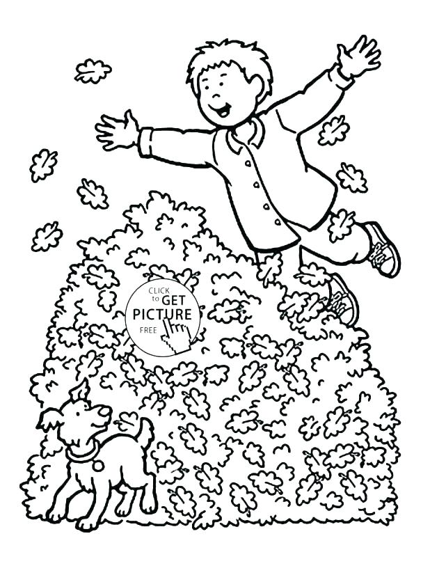 Leaves Coloring Pages Autumn Coloring Pages Free Printable Fall 618x813 Leaves Coloring Pages Autumn Coloring Pages Free Printable Fall