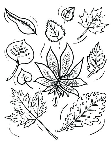 Printable Fall Coloring Pages Fall Leaves Coloring Sheets 392x507 Printable Fall Coloring Pages Fall Leaves Coloring Sheets
