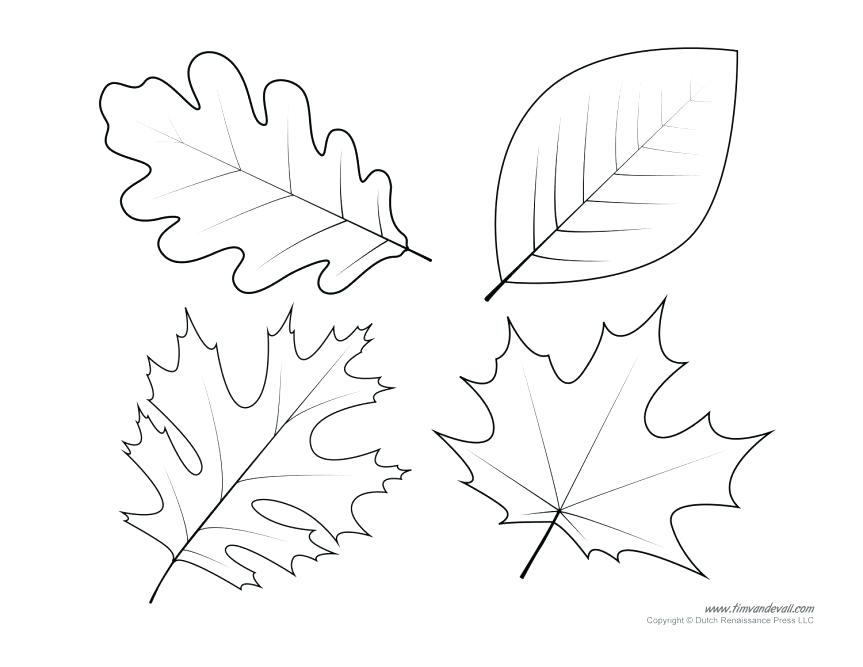 Printable Leaves Coloring Pages Coloring Pages Prissy Ideas Leaves 863x667 Printable Leaves Coloring Pages Coloring Pages Prissy Ideas Leaves