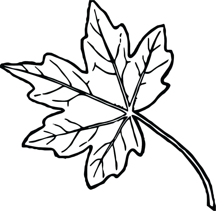 Autumn Leaves Coloring Pages Printable Leaves Coloring Pages Just 863x843 Autumn Leaves Coloring Pages Printable Leaves Coloring Pages Just