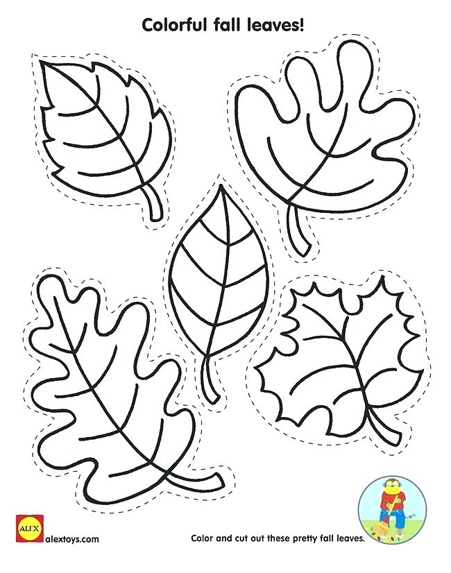 Printable Leaves Coloring Pages 650x826 Printable Leaves Coloring Pages