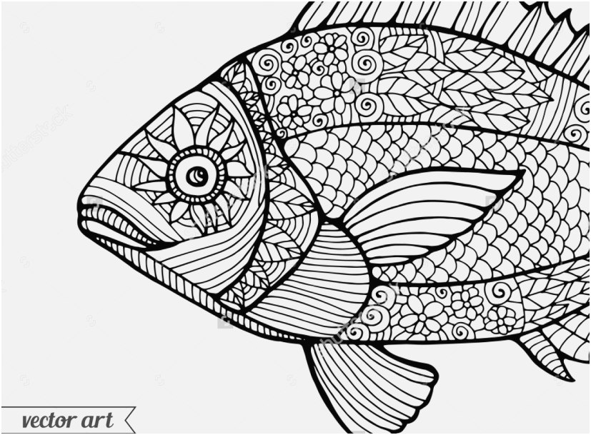 Fish Coloring Pages Pdf Photo Fish Coloring Book Fish Coloring 827x609 Fish Coloring Pages Pdf Photo Fish Coloring Book Fish Coloring