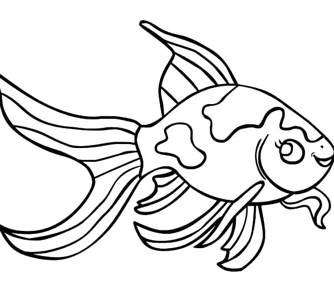 Fishes Coloring Pages About Coloring Pages Realistic Tropical Fish 678x600 Fishes Coloring Pages About Coloring Pages Realistic Tropical Fish