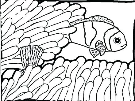 Fresh Printable Fish Coloring Pages For Free Printable Fish Cute 440x330 Fresh Printable Fish Coloring Pages For Free Printable Fish Cute
