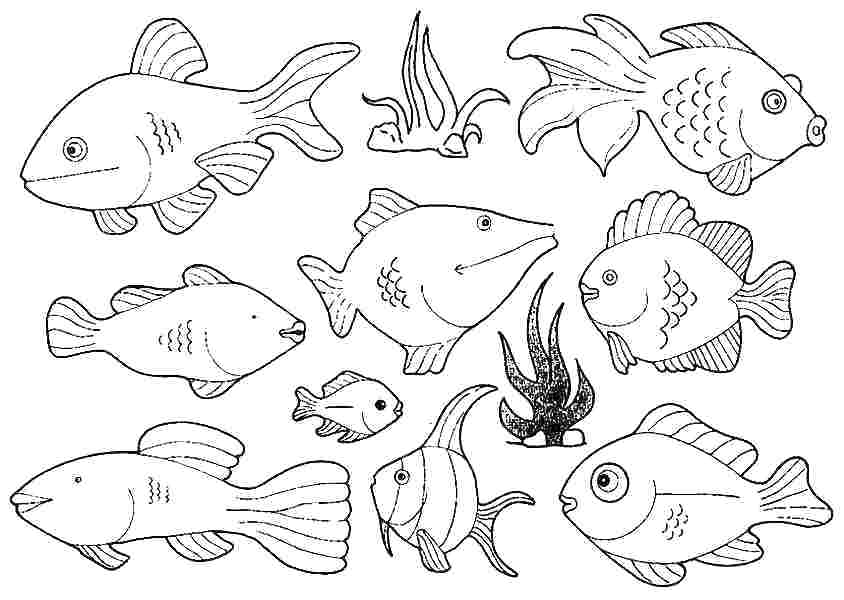 Printable Fish Coloring Pages Elegant Le Fish Coloring Pages 844x600 Printable Fish Coloring Pages Elegant Le Fish Coloring Pages