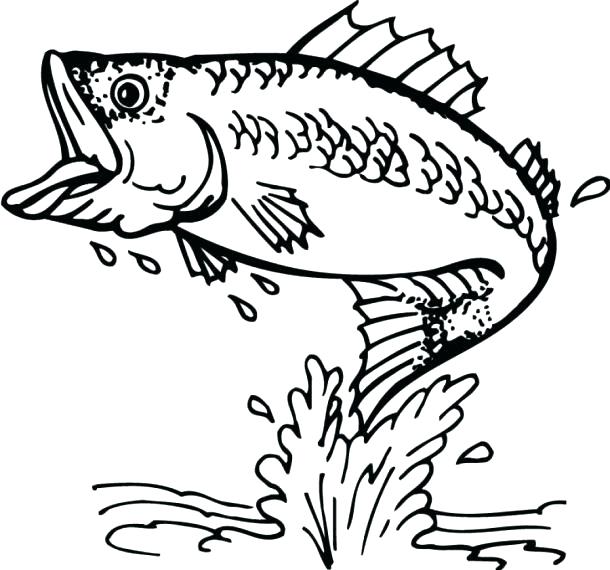 Printable Fish Coloring Pages Fish Coloring Pages Bass Coloring 610x570 Printable Fish Coloring Pages Fish Coloring Pages Bass Coloring