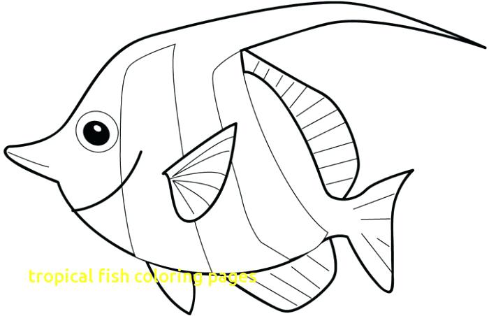Tropical Fish Coloring Pages Free Printable Fish Coloring Pages 700x452 Tropical Fish Coloring Pages Free Printable Fish Coloring Pages