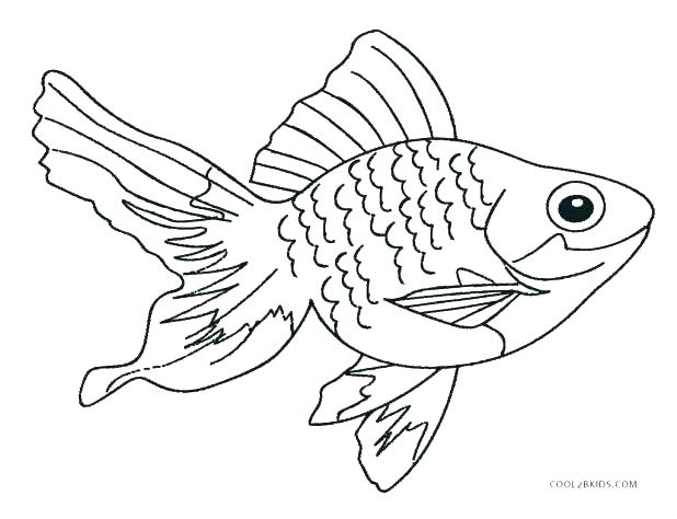 Realistic Fish Coloring Pages 618x474 Realistic Fish Coloring Pages