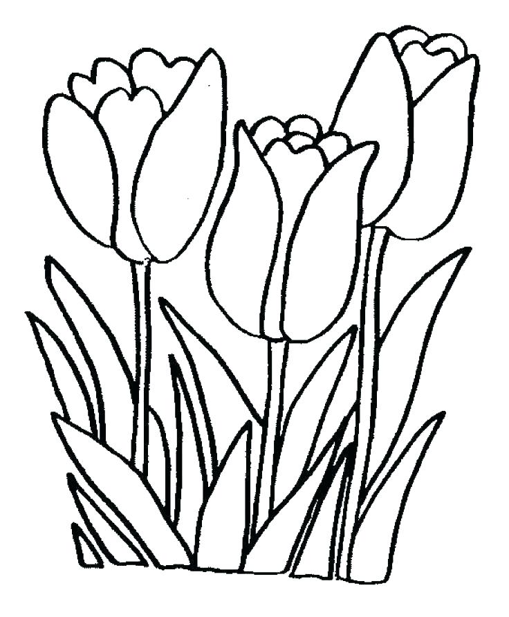 736x892 Spring Coloring Pages Printable Flowers Coloring Pages Free