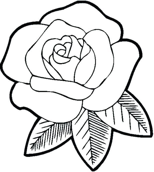618x690 Free Coloring Pages Of Flowers