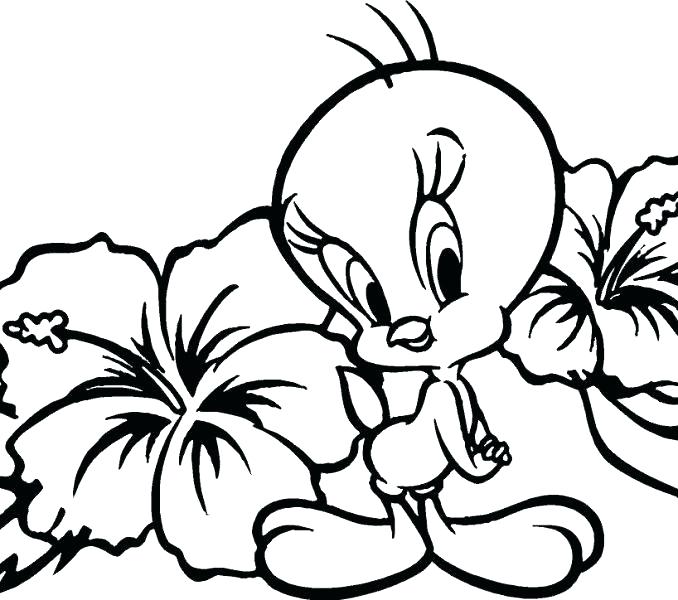 678x600 Coloring Pages Flowers Printable Free Printable Flower Coloring