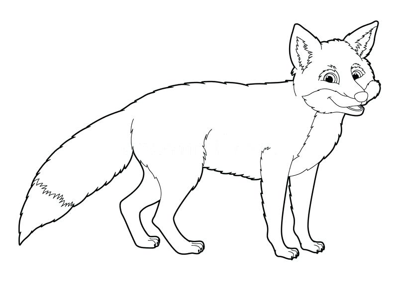 Fox Coloring Pages Cartoon Animal Fox Coloring Page Royalty Free 800x572 Fox Coloring Pages Cartoon Animal Fox Coloring Page Royalty Free