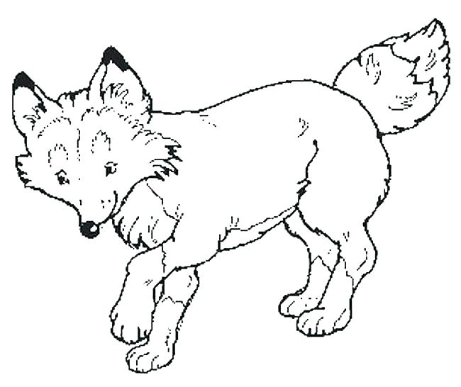 Free Coloring Pages Fox Coloring Page Porcupine Coloring Page Free 650x546 Free Coloring Pages Fox Coloring Page Porcupine Coloring Page Free