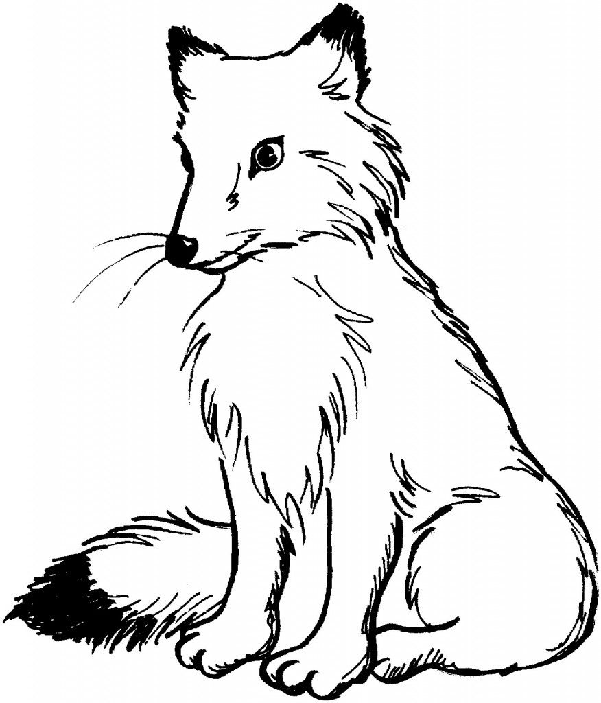 Free Printable Fox Coloring Pages For Kids Foxes, Embroidery 876x1024 Free Printable Fox Coloring Pages For Kids Foxes, Embroidery