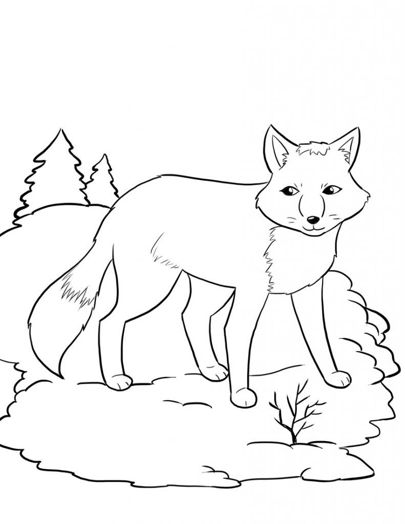 Free Printable Fox Coloring Pages For Kids Foxes, Free Printable 791x1024 Free Printable Fox Coloring Pages For Kids Foxes, Free Printable