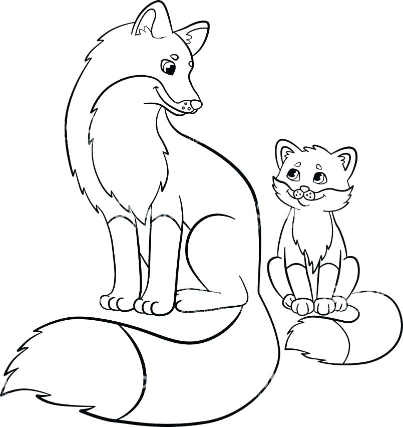 Red Fox Coloring Pages Coloring Pages Vector Jumping Fox For Adult 805x852 Red Fox Coloring Pages Coloring Pages Vector Jumping Fox For Adult