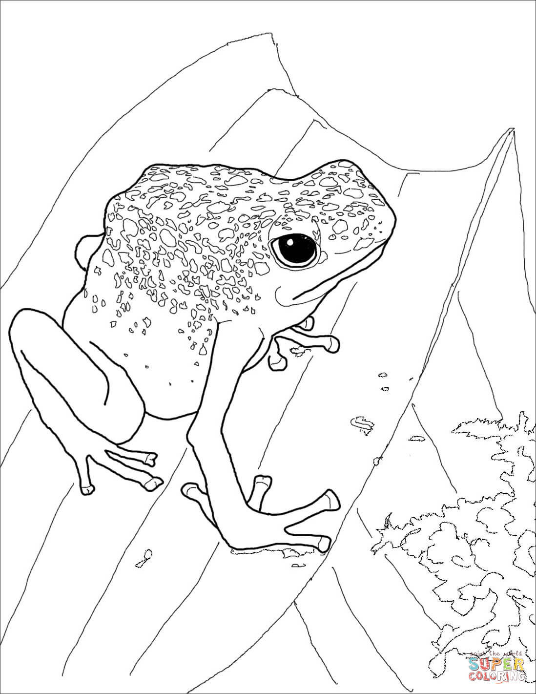 1098x1421 Blue Poison Dart Frog Coloring Page Free Printable Pages With Acpra