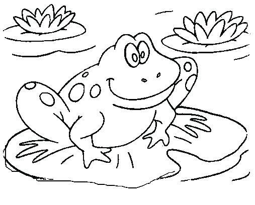 507x408 Printable Frog Coloring Pages Bold Inspiration Free 27257