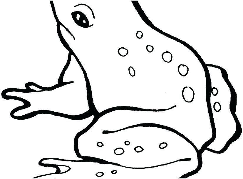 827x609 Frog Coloring Pages Printable