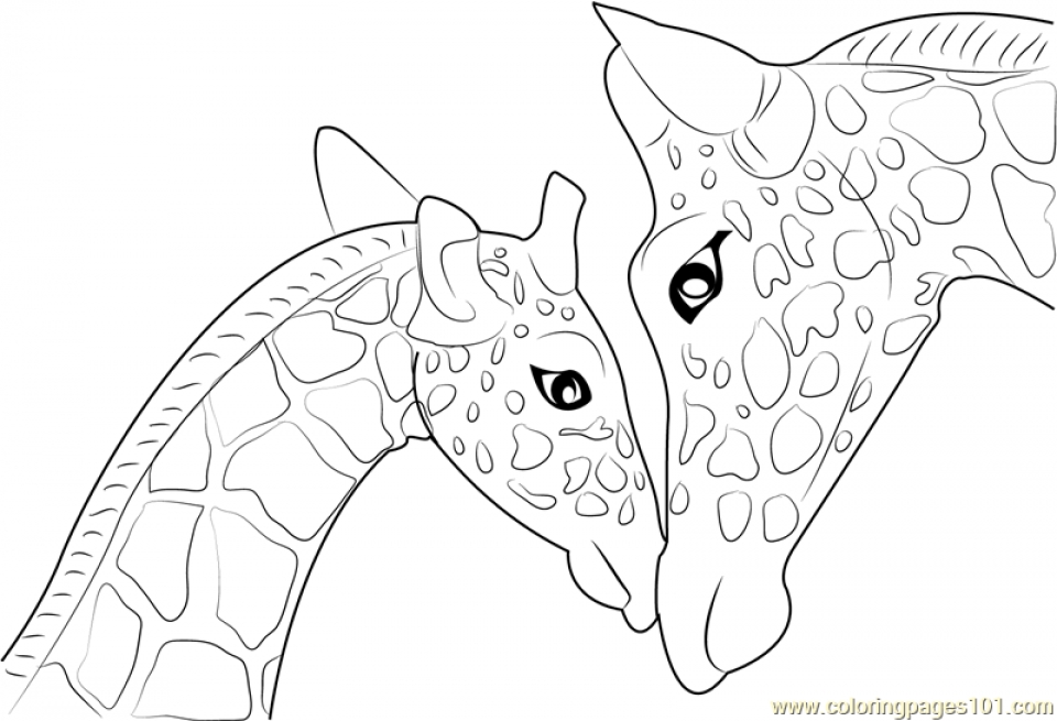 Free Printable Giraffe Coloring Pages 960x655 Free Printable Giraffe Coloring Pages