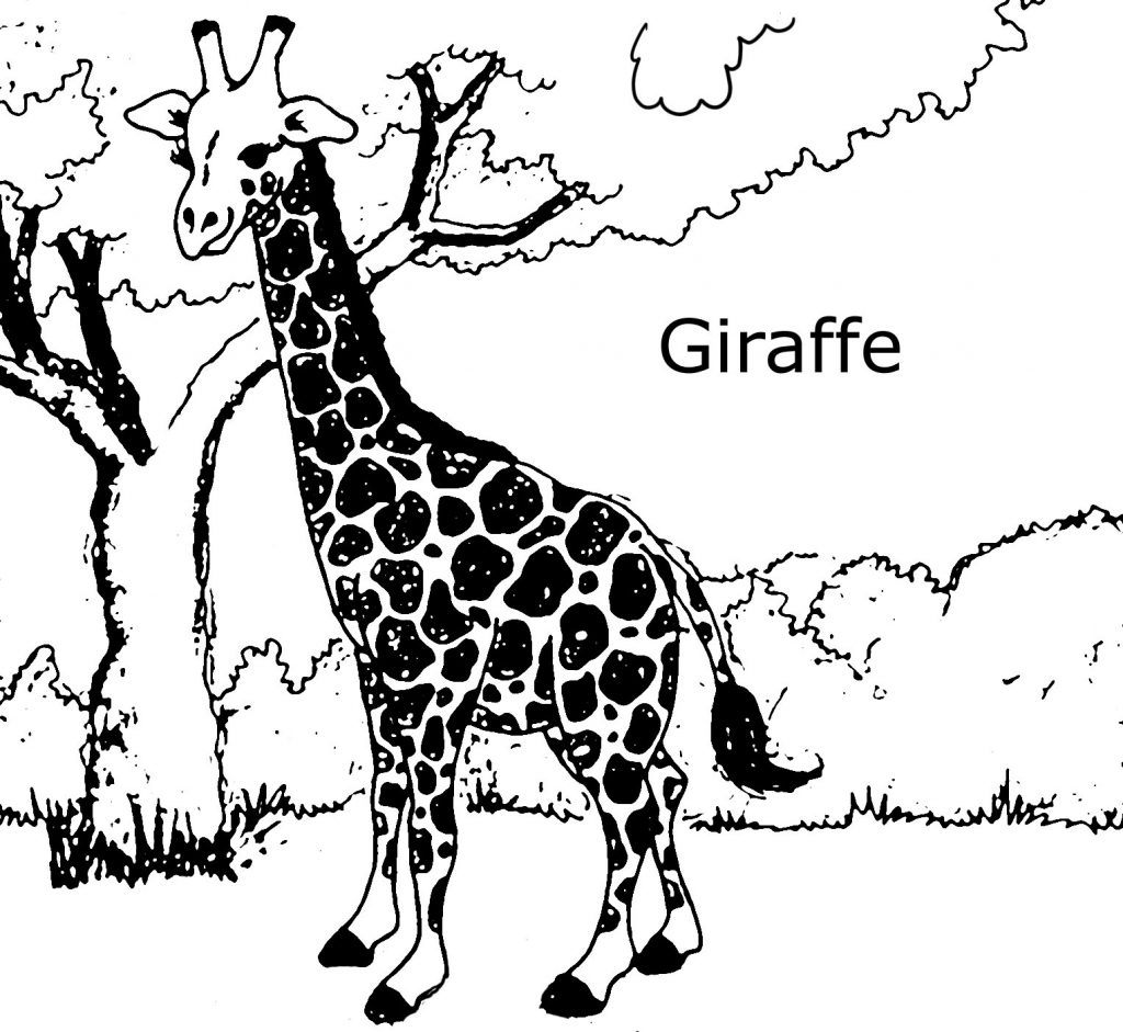 Giraffe Coloring Page Awesome Free Printable Giraffe Coloring 1024x941 Giraffe Coloring Page Awesome Free Printable Giraffe Coloring