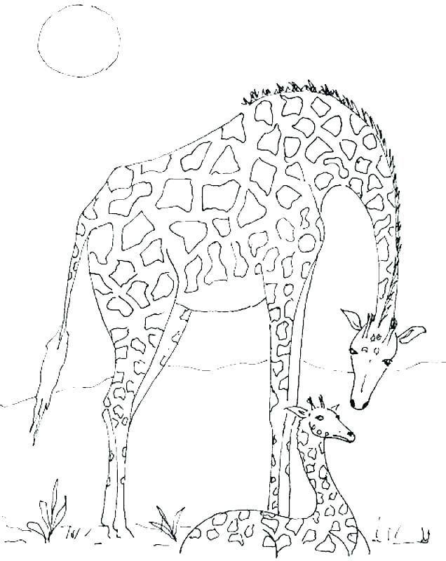 Giraffe Coloring Pictures Cartoon Giraffe Coloring Page Giraffe 636x800 Giraffe Coloring Pictures Cartoon Giraffe Coloring Page Giraffe