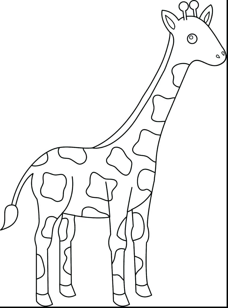 Giraffe Coloring Pages Printable Shippa.co 759x1024 Giraffe Coloring Pages Printable Shippa.co