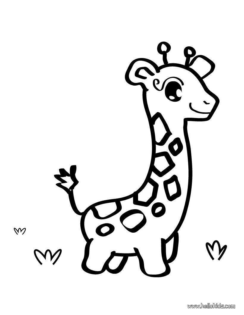Fortune Pictures Of Giraffes To Color Free Printable Giraffe 820x1060 Fortune Pictures Of Giraffes To Color Free Printable Giraffe