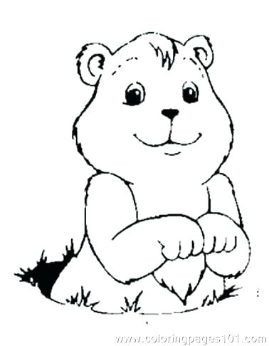 Groundhog Coloring Page Groundhog Day Scratching Head Coloring 378x486 Groundhog Coloring Page Groundhog Day Scratching Head Coloring
