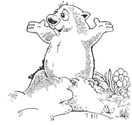Groundhog Elementary 453x430 Groundhog Elementary