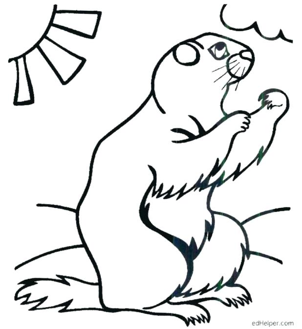 Animal Groundhog Day Coloring Pages Kids Many Interesting 4 Best 618x674 Animal Groundhog Day Coloring Pages Kids Many Interesting 4 Best