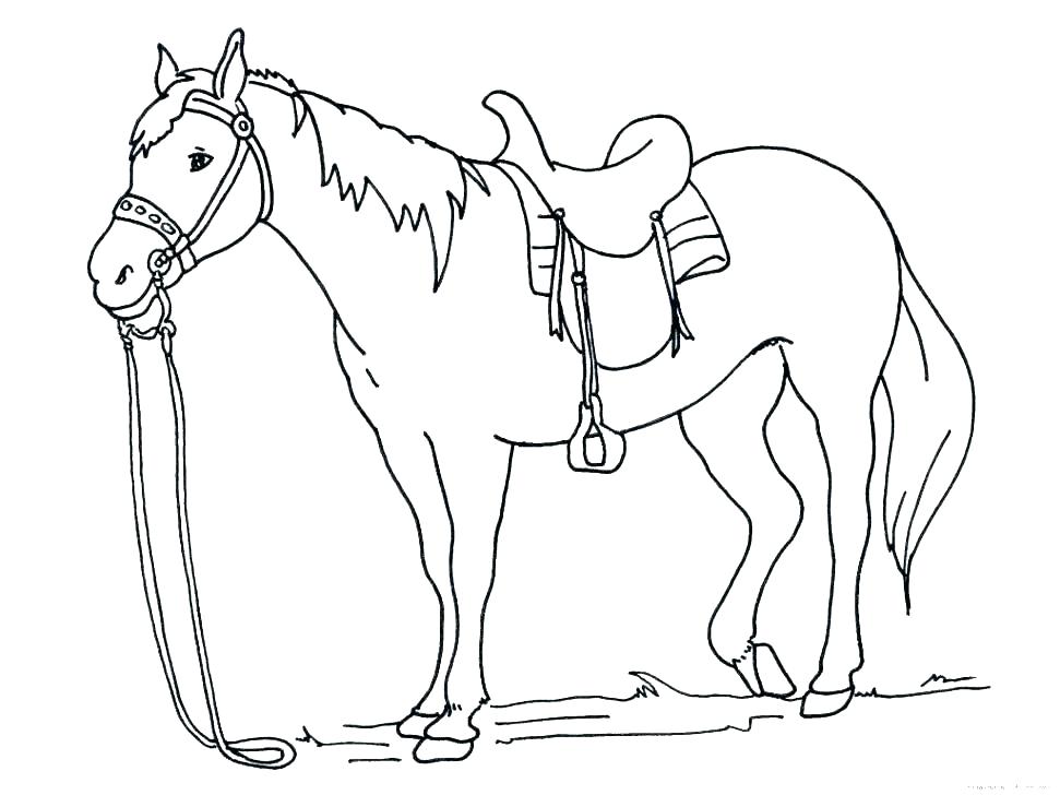 971x728 Free Horse Coloring Pages Online Awesome Horse Coloring Pages
