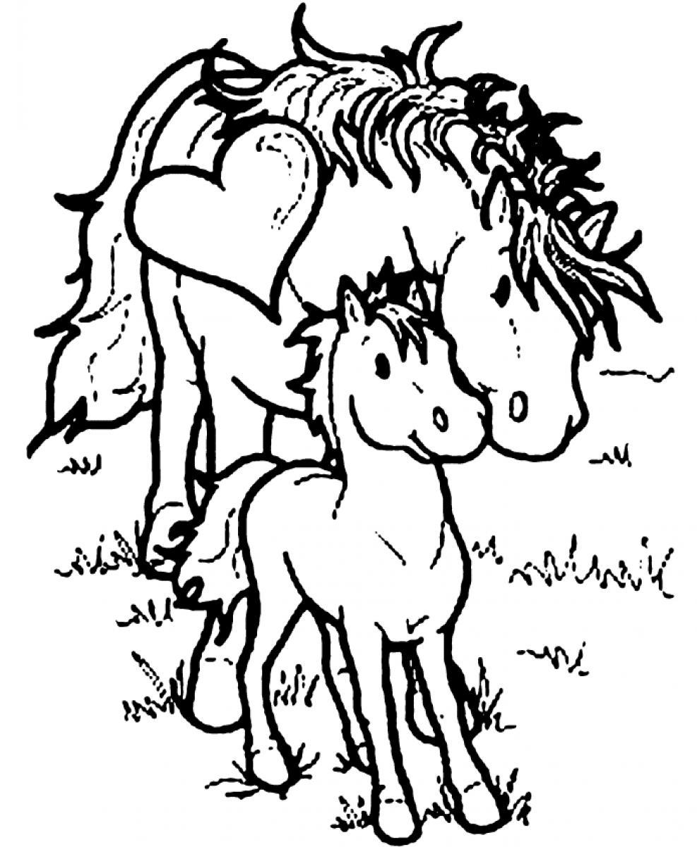 987x1200 Baby Horse Coloring Pages