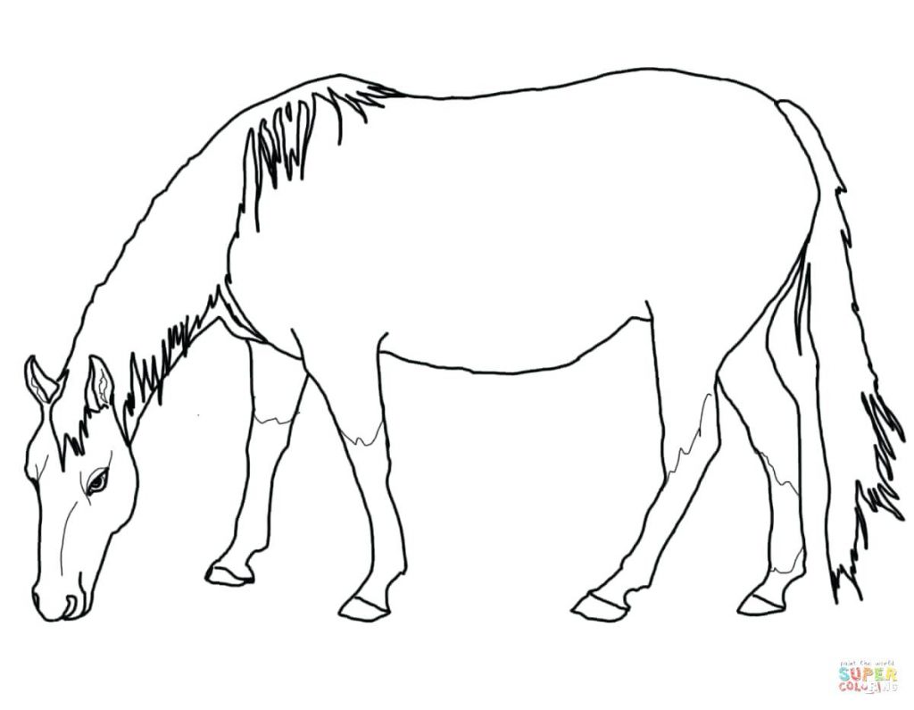 1024x795 Coloring Pages ~ Free Horse Coloring Pages Printable For Adults