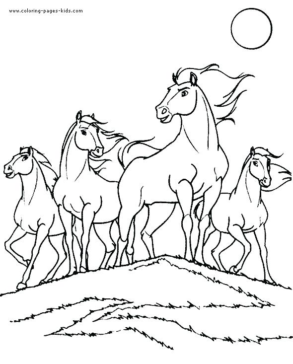 Horse Coloring Pages For Adults Printable Race Horse Coloring 590x733 Horse Coloring Pages For Adults Printable Race Horse Coloring