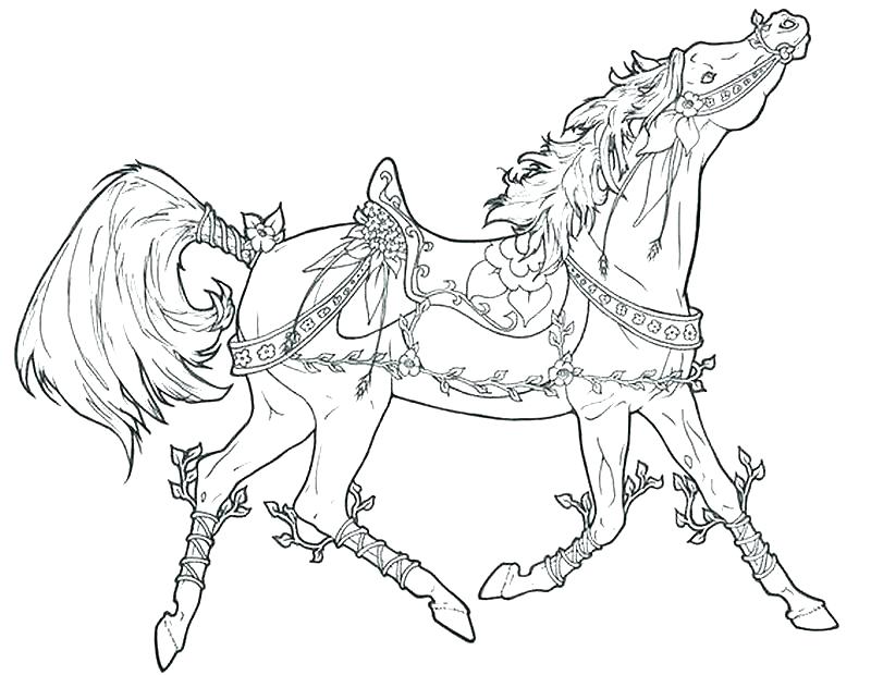 Horse Coloring Pages Free Carousel Coloring Pages Adult Coloring 800x620 Horse Coloring Pages Free Carousel Coloring Pages Adult Coloring