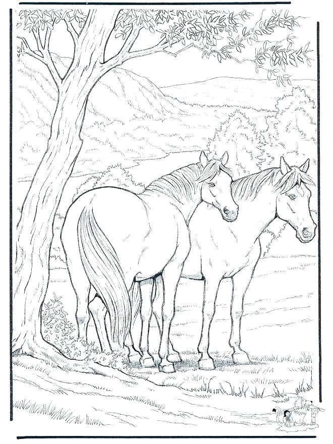 Free Coloring Pages Horses Free Carousel Horse Coloring Pages 660x880 Free Coloring Pages Horses Free Carousel Horse Coloring Pages
