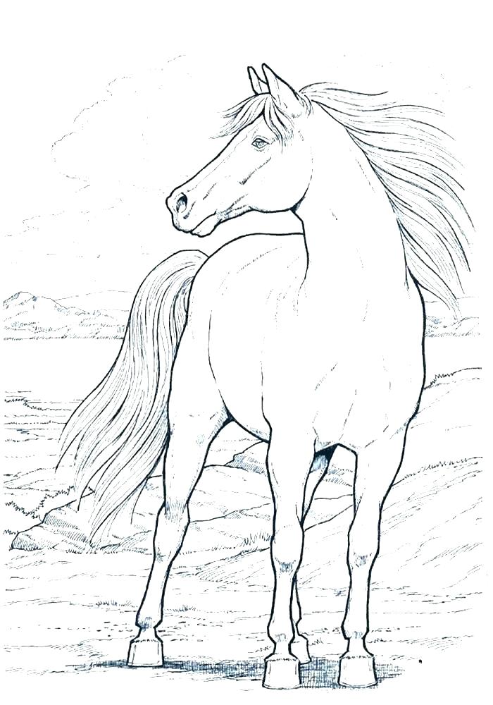 Free Printable Horse Coloring Pages For Adults Advanced Horses 700x1000 Free Printable Horse Coloring Pages For Adults Advanced Horses