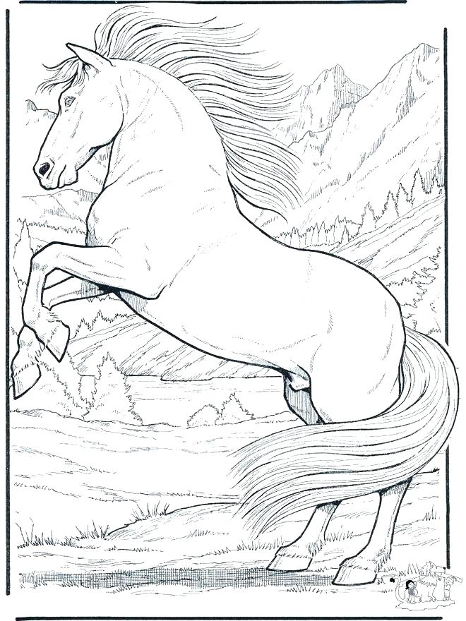 Free Printable Horse Coloring Pages For Adults Coloring Horse 660x880 Free Printable Horse Coloring Pages For Adults Coloring Horse