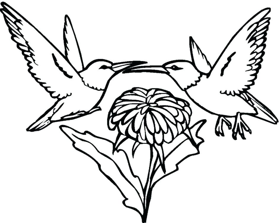 945x752 Hummingbird Coloring As Well As Printable Hummingbird Coloring