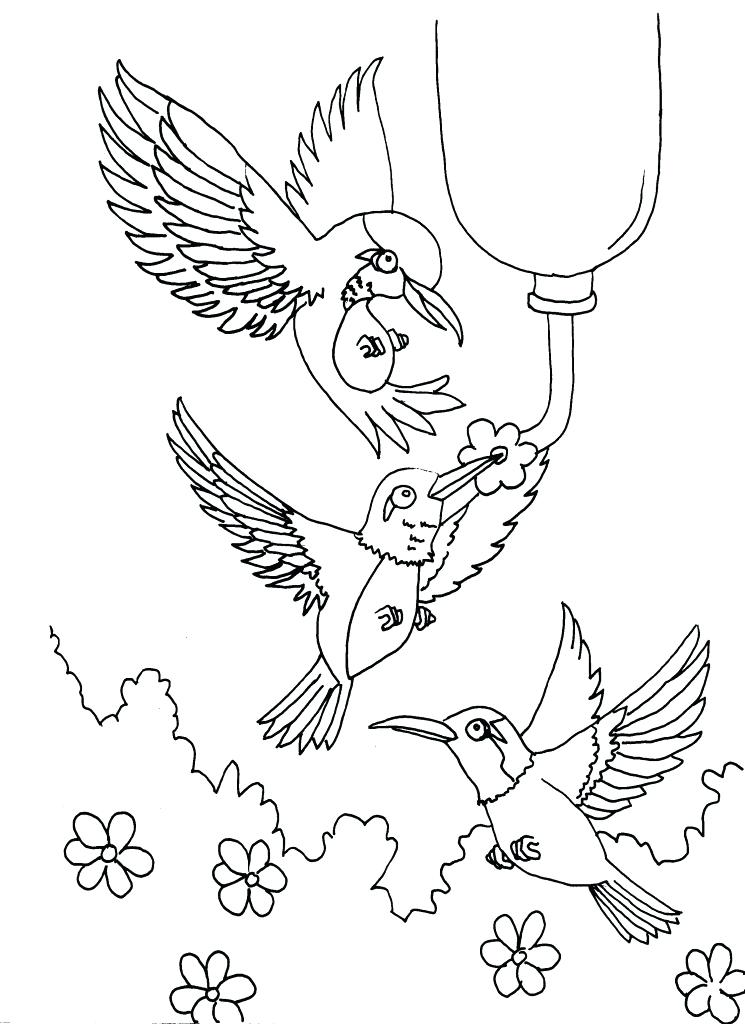 745x1024 Hummingbird Coloring Page Stock Vector Hummingbird Coloring Page