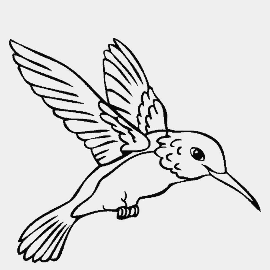 945x945 Two Hummingbirds Drinks Flower Nectar Coloring Page Beautiful