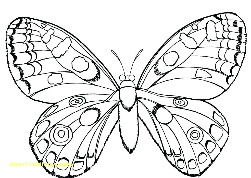 1024x727 Free Printable Insect Coloring Pages Insect Lessons