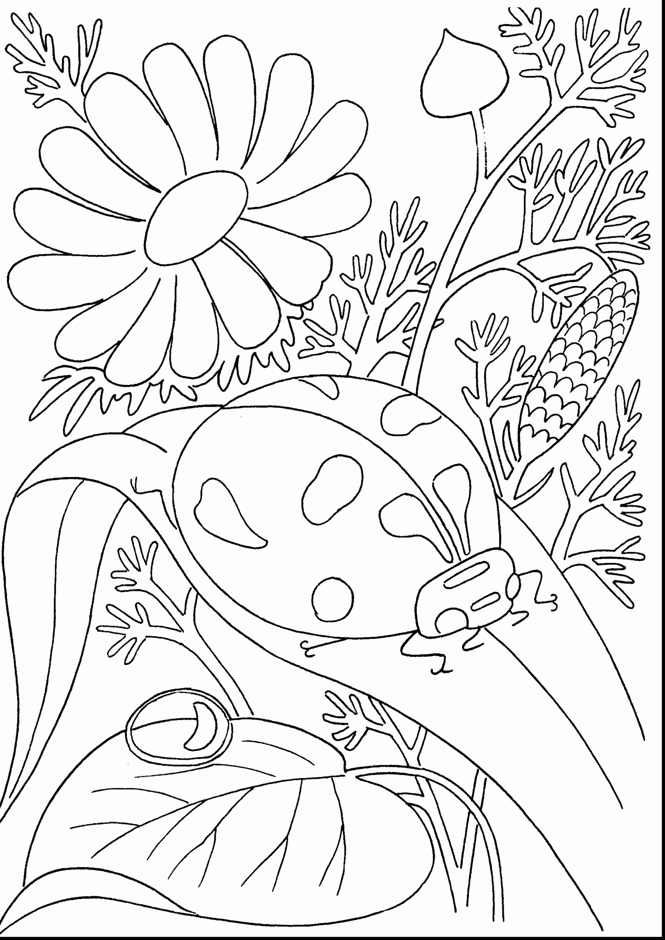 2120x2998 Awesome Butterfly And Flower Coloring Pages For Adults Collection