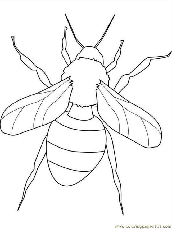 650x866 Insect Pictures To Color Best Photos Of Printable Insect Coloring