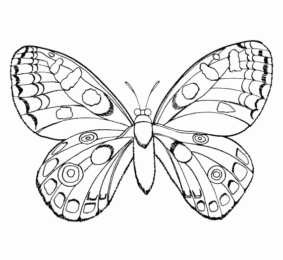 571x525 Insects Coloring Sheets Bug Coloring Page Free Printable Insect