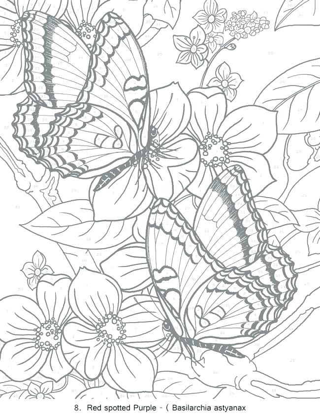 650x842 Elegant Flower Coloring Pages For Adults For Intricate Coloring